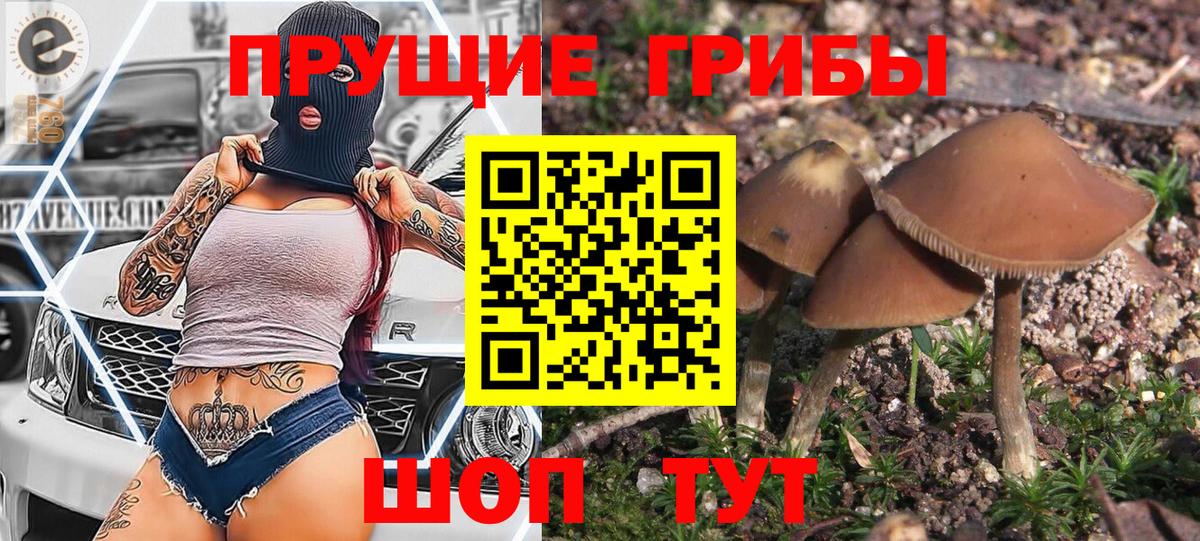 Псилоцибиновые грибы мухоморы Елабуга