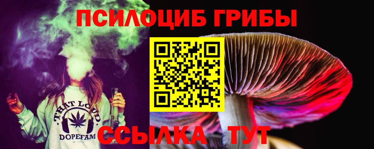 Елабуга  Галлюциногенные грибы GOLDEN TEACHER  Вход с VPN  Галлюциногенные грибы Psilocybe 